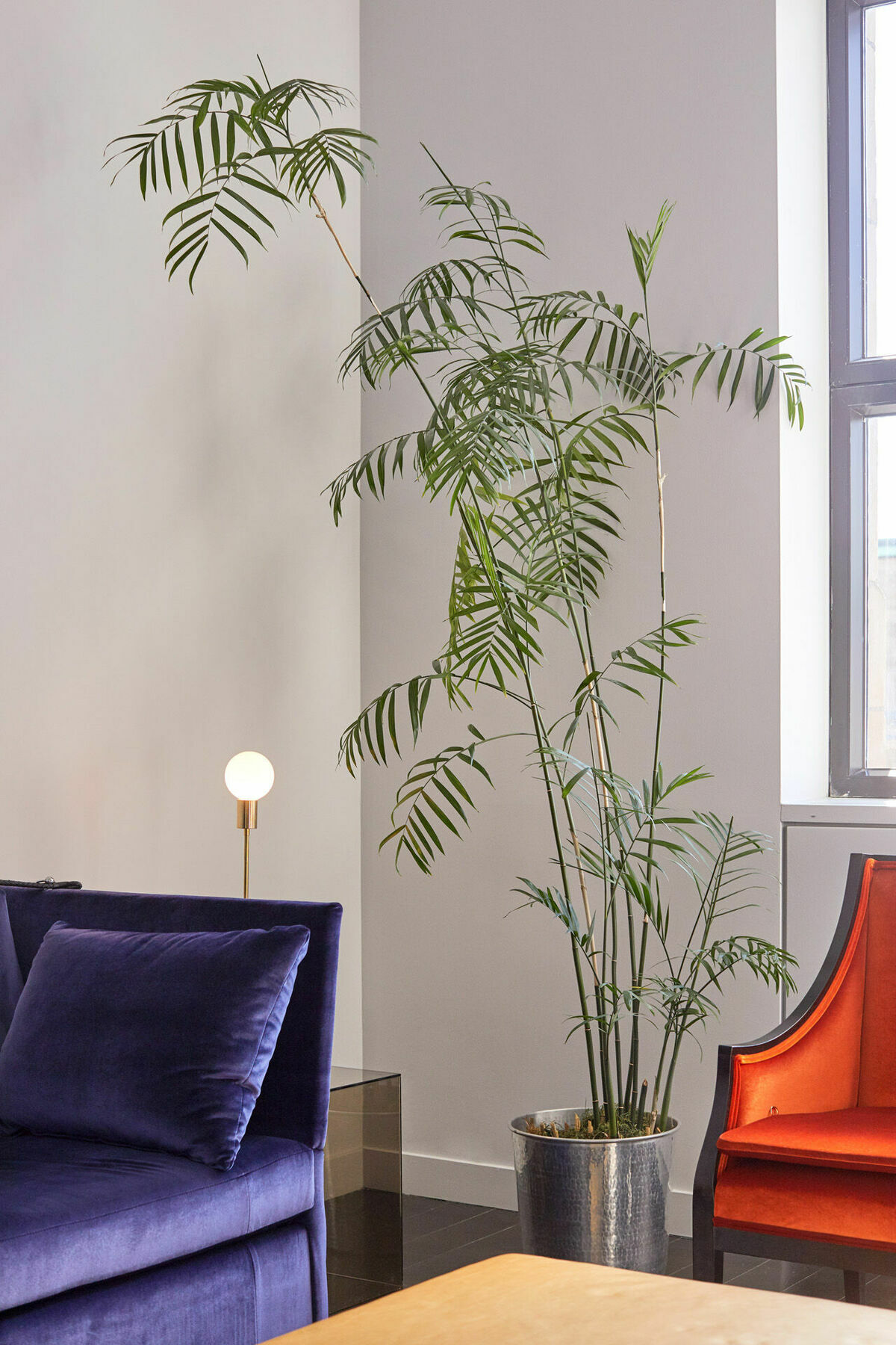 Hotel St Paul, Montreal, A Member Of Design Hotels Interiør bilde
